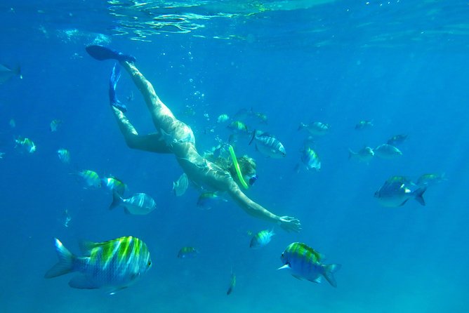 Riviera Maya Luxury Snorkeling Cruise with Lunch and Drinks - On-board lunch and open bar: good value, but it shapes the vibe