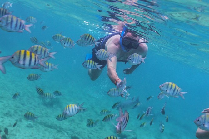 Riviera Maya Luxury Snorkeling Cruise with Lunch and Drinks - Adults-only vs family-friendly: how the booking changes your day