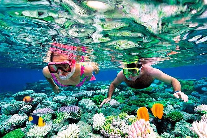 Riviera Maya Snorkeling - Riviera Maya Snorkeling From Cancun: Why Puerto Morelos Works