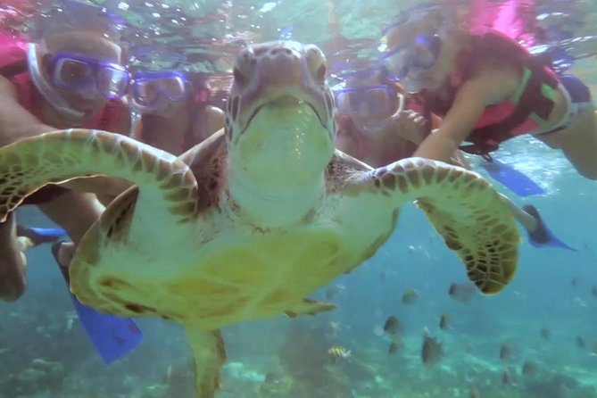 Riviera Maya Snorkeling - Snorkeling Time: Gear, Marine Life, and the Small-Boat Advantage