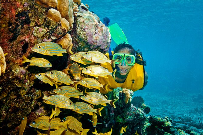 Riviera Maya Snorkeling Adventure: Lagoon, Cenotes Open & Cavern - Price and Value for $119 Per Person from Cancun