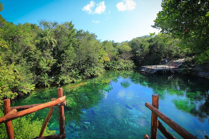 Riviera Maya Snorkeling Adventure: Lagoon, Cenotes Open & Cavern - Who Should Book This Tour (and Who Might Want a Different Style)