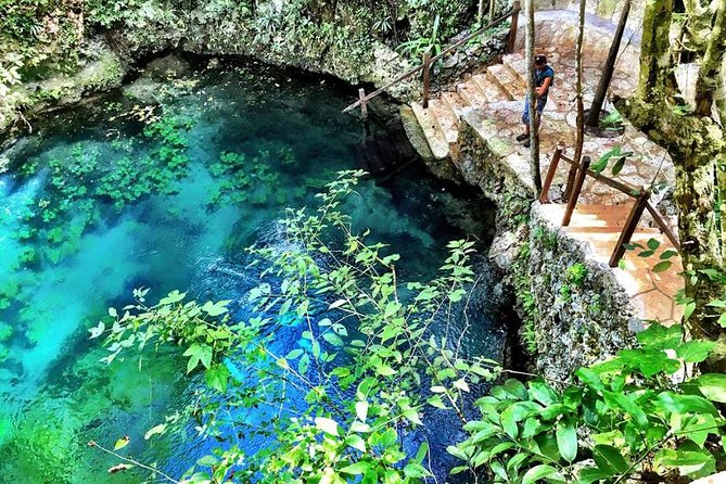 Route of the cenotes (ZAPOTE) - Cenote Zapote jumps and zip-line moments: the “pick your thrill” stop