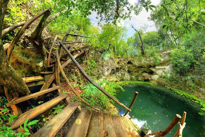 Route of the cenotes (ZAPOTE) - Price and value: what $145 covers in real terms