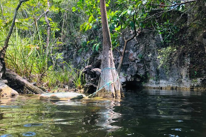 Sacred Adventure at Xenotes! 4 Different Cenotes + Round Transportation - Cenote time: why different types matter more than you think