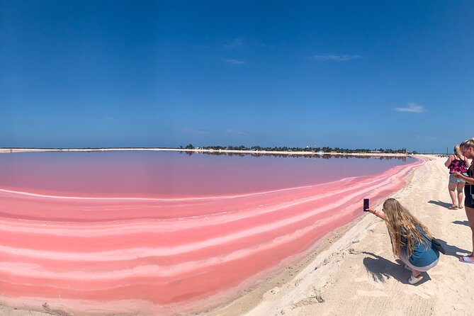 Safari in Rio Lagartos, Coloradas and Mayan Bath - Key Highlights You’ll Feel Immediately