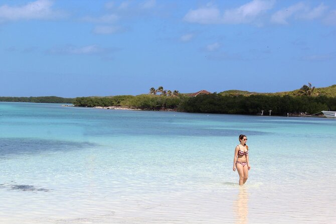 Sailing at Isla Contoy & Isla Mujeres! Snorkel at Ixlache Reef - Should You Book This Isla Contoy, Ixlache Reef, and Isla Mujeres Day Trip?