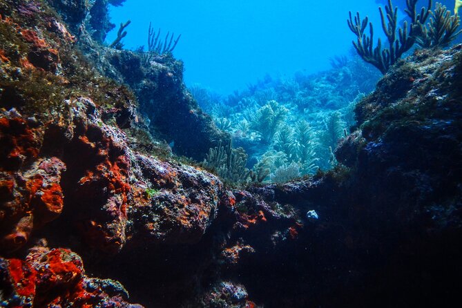 Scuba Diver Certification Course - What to pack and how to prepare (so Day 2 goes smoother)