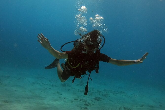 Scuba Diving (1st time) in Cancun Beginner's WELCOMED! - A first-timer scuba lesson with PADI-certified coaching in Cancun