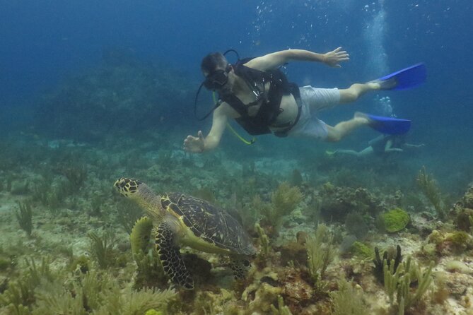 Scuba Diving (1st time) in Cancun Beginner's WELCOMED! - Should you book this Cancun first-timer scuba experience?