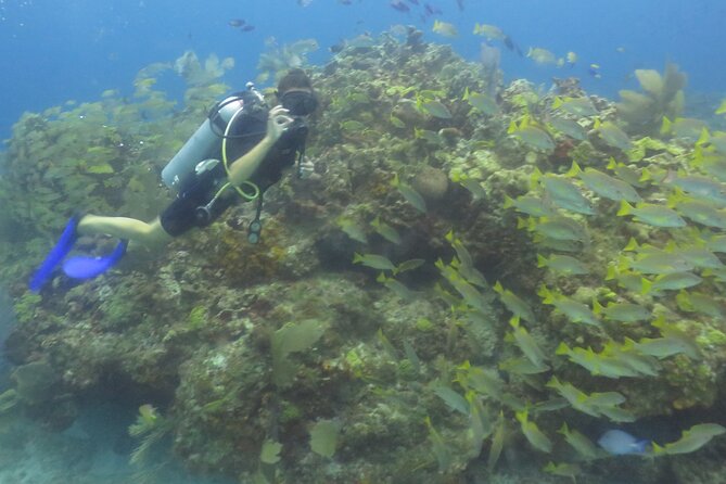 Scuba Diving (1st time) in Cancun Beginner's WELCOMED! - FAQ
