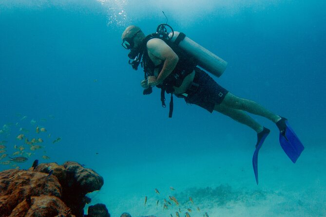 Scuba Diving (1st time) in Cancun Beginner's WELCOMED! - What the 5.5-hour schedule feels like on the day