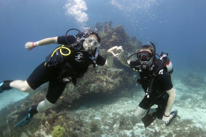 Scuba diving at MUSA the underwater museum for certified divers - Timing and Group Size: Two Time Options and More Attention