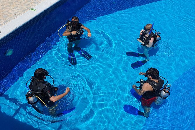 Scuba Diving Under Water Museum and Reef for beginners - Manchones Reef: coral, fish, and the calm rhythm of a reef swim