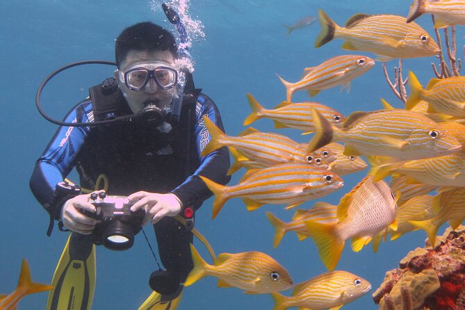 Scuba Diving Under Water Museum and Reef for beginners - Should you book the Cancun Underwater Museum and Reef beginner session?