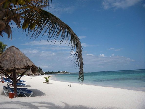 Sea Turtle Snorkeling Ecofriendly Tour from Cancun & Riviera Maya - Key highlights you’ll actually care about