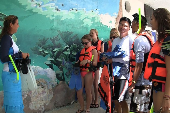 Sea Turtle Snorkeling Ecofriendly Tour from Cancun & Riviera Maya - Akumal Sea Turtles: Why the Bay Stop Is the Whole Point