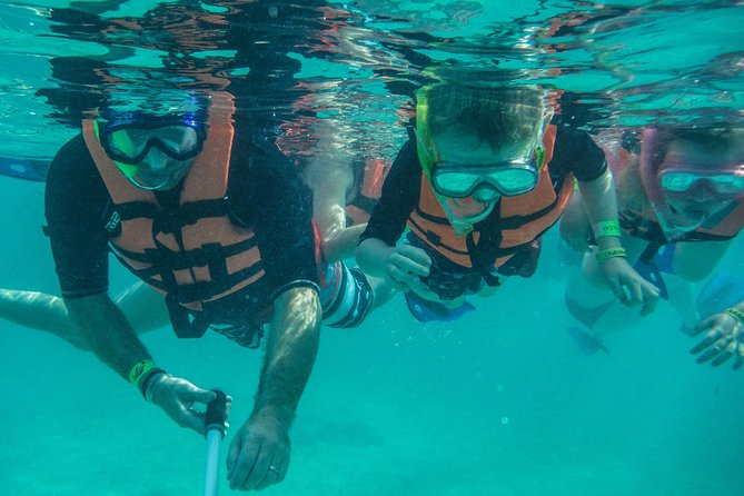 Sea Turtle Snorkeling Ecofriendly Tour from Cancun & Riviera Maya - The Wildlife Part: Crowds, Water Clarity, and Learning What You See