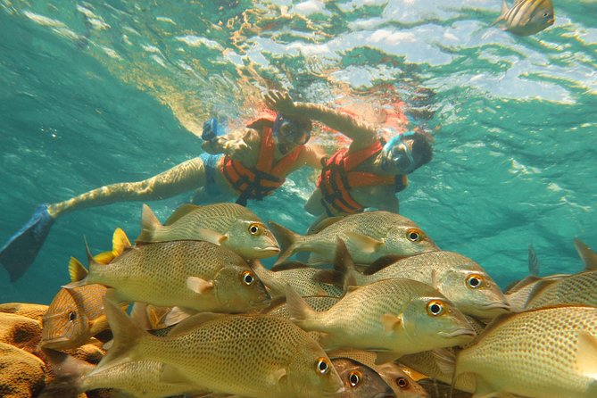 Sea Turtle Snorkeling Ecofriendly Tour from Cancun & Riviera Maya - Snorkel Comfort: Life Vests, Breathing Tips, and Timing