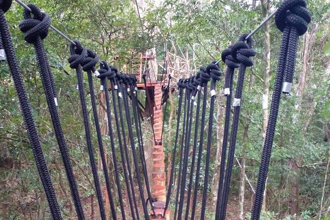 Shared ATV's and Zip Lines and Swimming in a Real Cenote. - ATV circuit: 50 minutes of control, dust, and fun