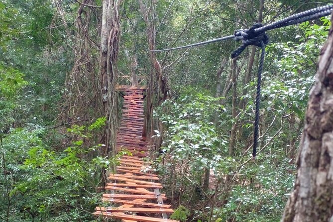 Shared ATV's and Zip Lines and Swimming in a Real Cenote. - Cenote cavern swimming at Cenotes Kin-Ha: the cooling payoff