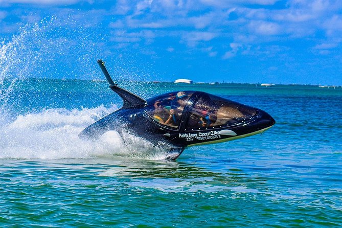 Shark Ride in Cancun - Seabreacher - The 15-minute shark run: what actually happens on the water