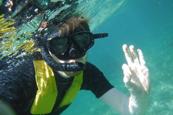 Small-Group Mesoamerican Barrier Reef Snorkeling in Puerto Morelos - Meeting point in Puerto Morelos: easy to reach, no pickup