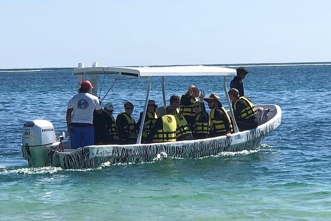 Small-Group Mesoamerican Barrier Reef Snorkeling in Puerto Morelos - Wildlife you can realistically hope to see