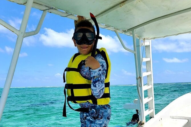 Small-Group Mesoamerican Barrier Reef Snorkeling in Puerto Morelos - Price and what you actually get for $45