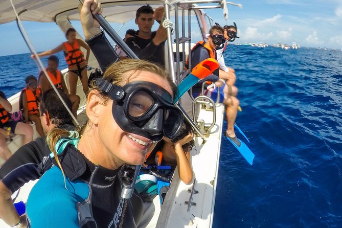 Small Group Whale Shark Encounter - 10 years in business - Price: What $199 Gets You, Plus the One Fee You Must Budget