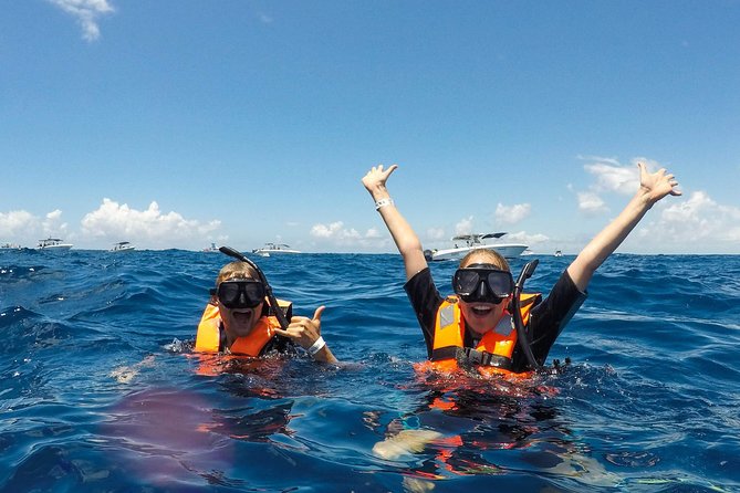Small Group Whale Shark Encounter - 10 years in business - Getting There: Pickup, Ride Comfort, and No-Fuel Surcharge