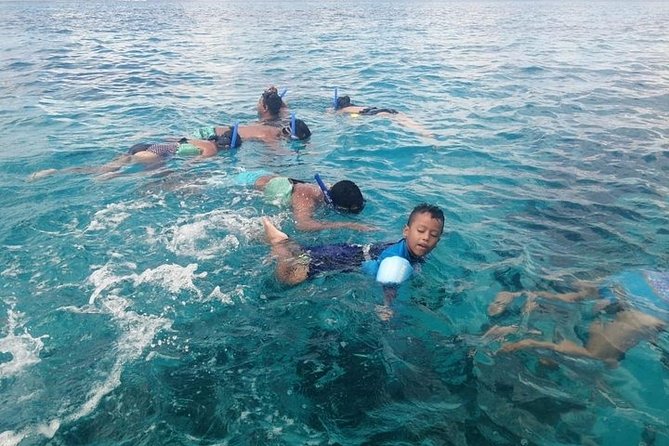 Snorkel Adventure at Cozumel! Transportation from Cancun & Playa Del Carmen - Getting to Cozumel: pickup, ferry time, and the 6:30 am reality