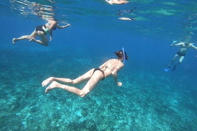 Snorkel Adventure at Cozumel! Transportation from Cancun & Playa Del Carmen - Cielito Beach plus 2 hours downtown Cozumel: don’t waste the land time