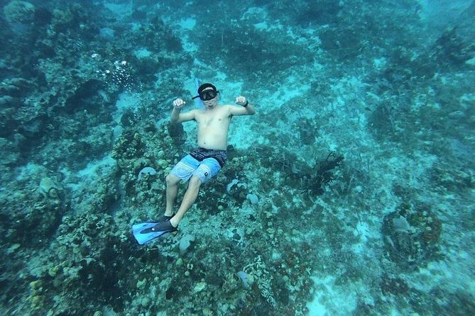 Snorkel Adventure at Cozumel! Transportation from Cancun & Playa Del Carmen - Shared group size: why your experience can feel great or rushed