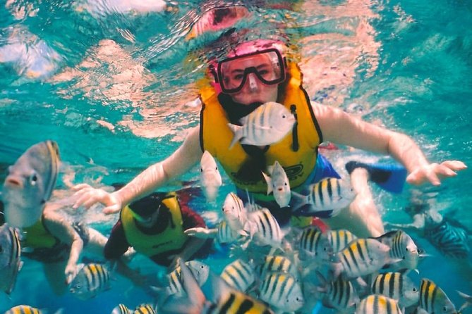 Snorkel and swim in Cozumel el Cielo Reef, Palancar and Colombia - Cozumel’s Reef Trio: How This Trip Stays Worth It