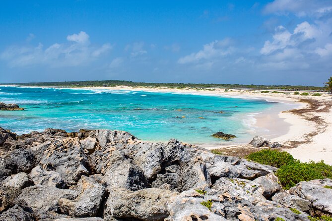 Snorkel and swim in Cozumel el Cielo Reef, Palancar and Colombia - Palancar Reef: Classic Cozumel Snorkeling Energy