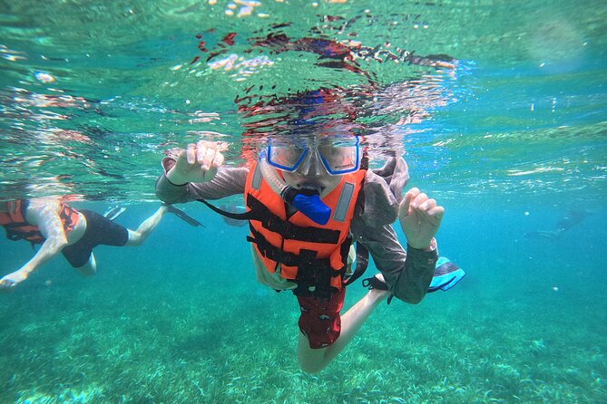 Snorkel at the Reef 2 HOURS Puerto Morelos National park - Key things to know before you book