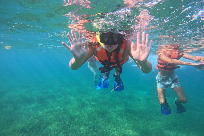 Snorkel at the Reef 2 HOURS Puerto Morelos National park - Transportation, tips, and the weather reality