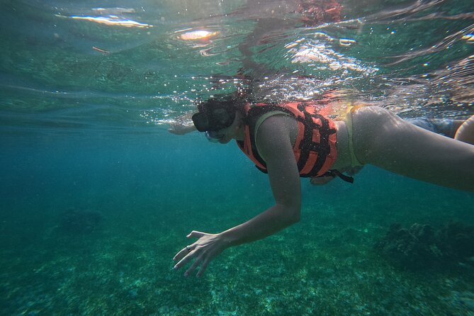 Snorkel at the Reef 2 HOURS Puerto Morelos National park - The reef stop: what you can realistically expect to see