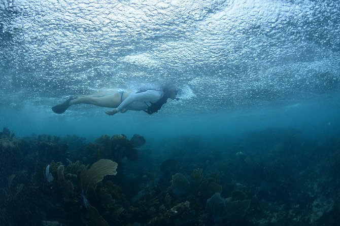 Snorkel, ATV, Zipline and Cenote Adventure from Cancun - Price and extra costs: what $119.99 becomes in real life