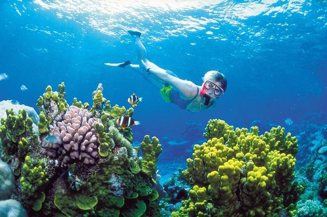 Snorkel, ATV, Zipline and Cenote Adventure from Cancun - Yucatán jungle ATV riding: fun if you’re ready for bumpy