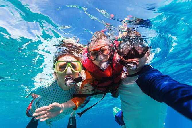 Snorkel in El Cielo Cozumel Reef with Lunch, Beach and Transport - Who This Cozumel Reef Tour Suits Best