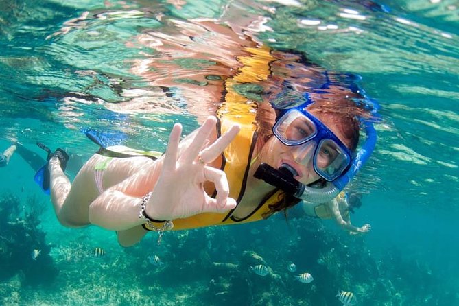 Snorkel in the second largest reef in the world Colorful tour in Puerto Morelos - Snorkeling Reality Check: Photos, Reef Rules, and Group Control