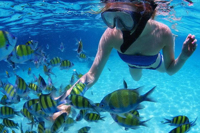 Snorkel in the second largest reef in the world Colorful tour in Puerto Morelos - Puerto Morelos After the Water: Beach Club Snacks and Town Walk