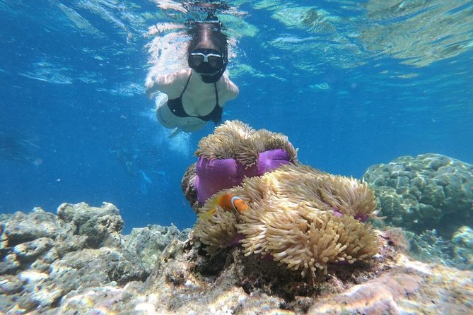 Snorkel in the second largest reef in the world Colorful tour in Puerto Morelos - Food and Tequila: Nice Add-On, Not a Must-Do