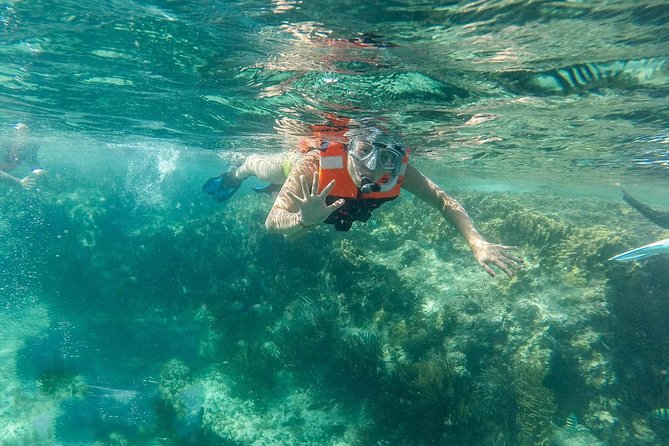 Snorkeling Adventure in Isla Mujeres - A day that stitches Cancun water time to Isla Mujeres island time