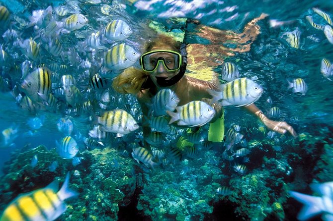 Snorkeling Adventure in Isla Mujeres - Isla Mujeres free time: make your plan before you go