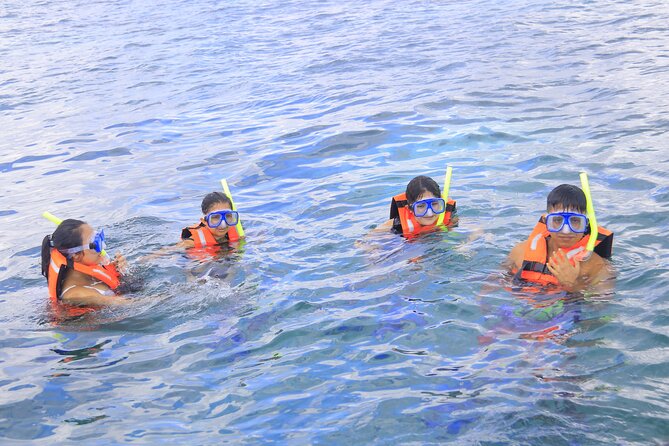 Snorkeling Adventure in Puerto Morelos Includes snack, Water and Round Trip. - Beach Club Tacos and a Real Puerto Morelos Walk