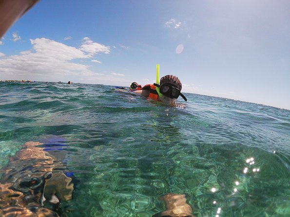 Snorkeling Adventure in Puerto Morelos Includes snack, Water and Round Trip. - FAQ
