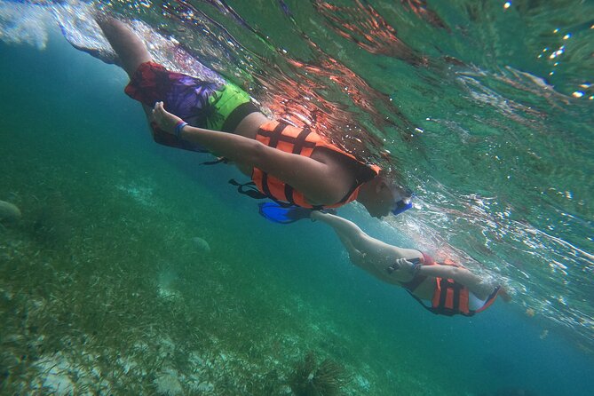 Snorkeling Adventure in Puerto Morelos Includes snack, Water and Round Trip. - Snorkeling at the National Reef Park Reef Wall